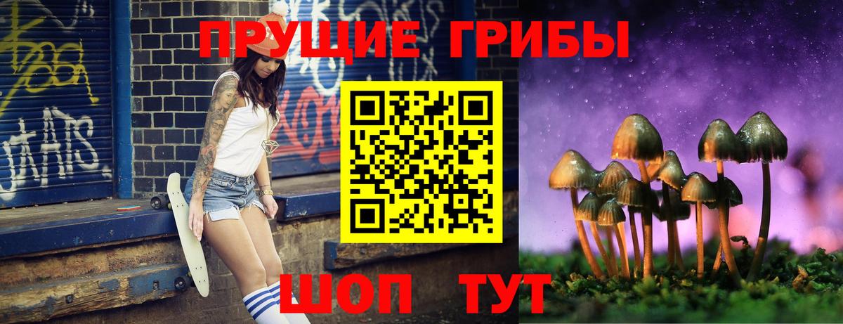 Галлюциногенные грибы Cubensis  Вход с VPN  Сланцы 